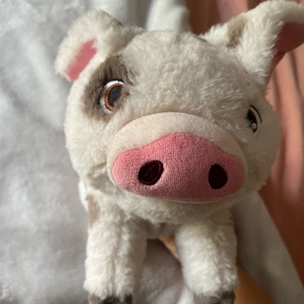 Pua from Moana stuffed animal
